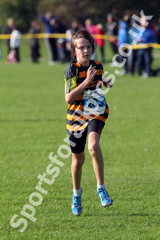 Blue 203 Sherman Cup, South Shield